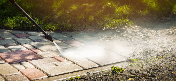 Best Solar Panel Cleaning  in Laureles, TX